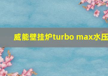 威能壁挂炉turbo max水压